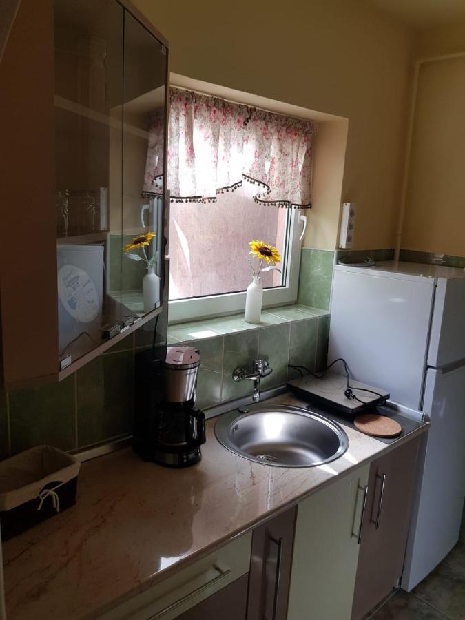 Smile Apartments Sighisoara Bagian luar foto